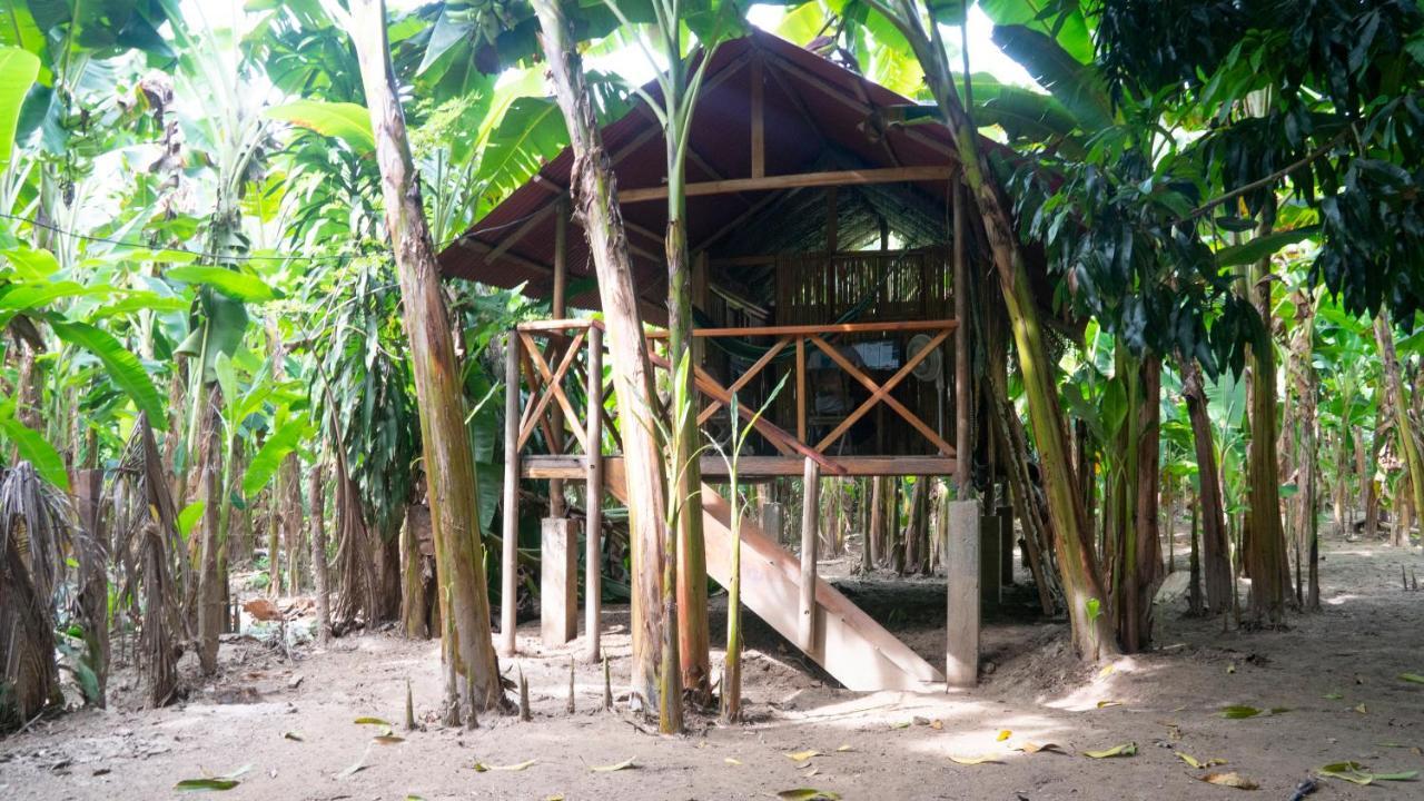 La Playita Guachaca Exterior foto